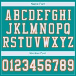 Custom Aqua White-Orange Mesh Authentic Football Jersey Custom Aqua White-Orange Mesh Authentic Football Jersey